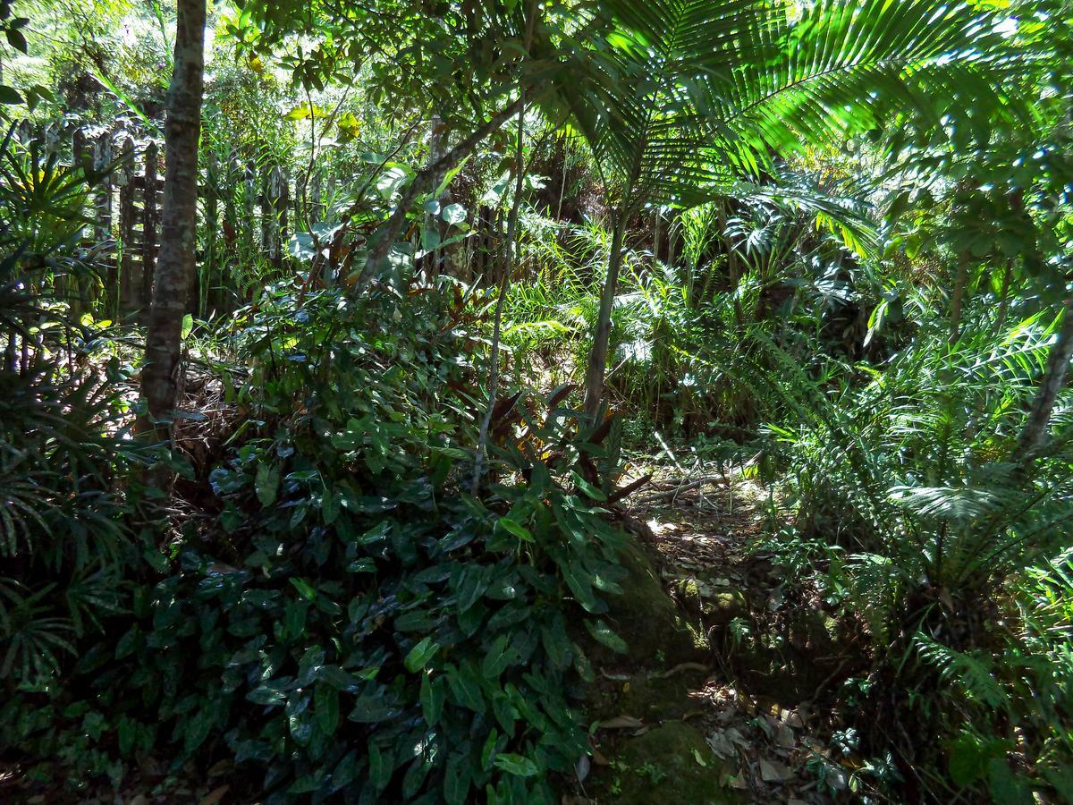 Laguna Guarujá Exteriér fotografie